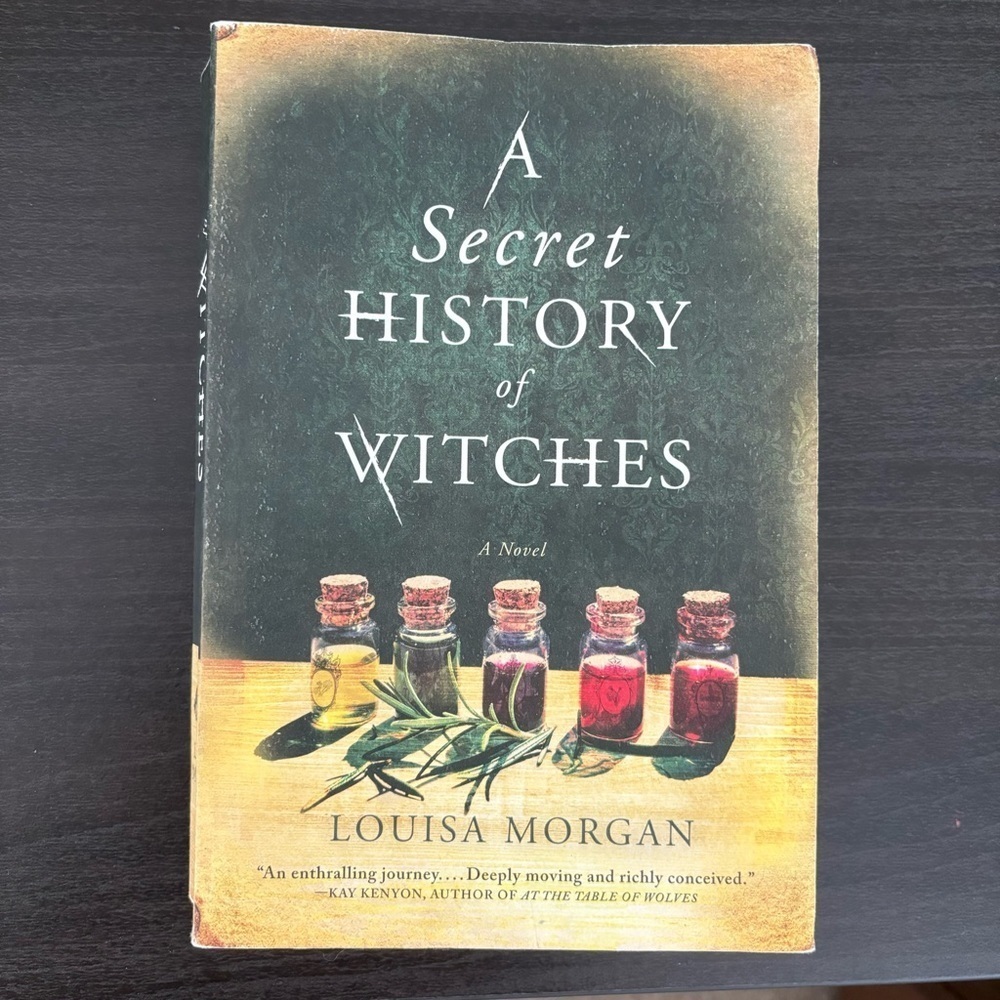 A Secret History of Witches Paperback Fiction Book by Louisa Morgan